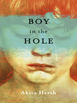 cover image of Boy in the Hole